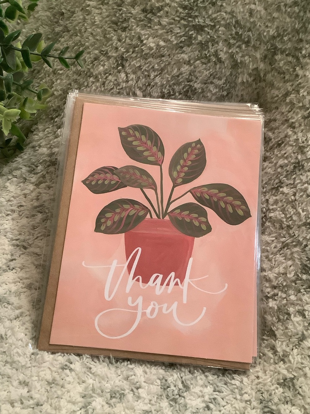 Thank You Cards Set of 6 with same Terra Cotta Potted Plant Design on all, NWT